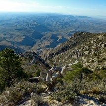 View into the desert